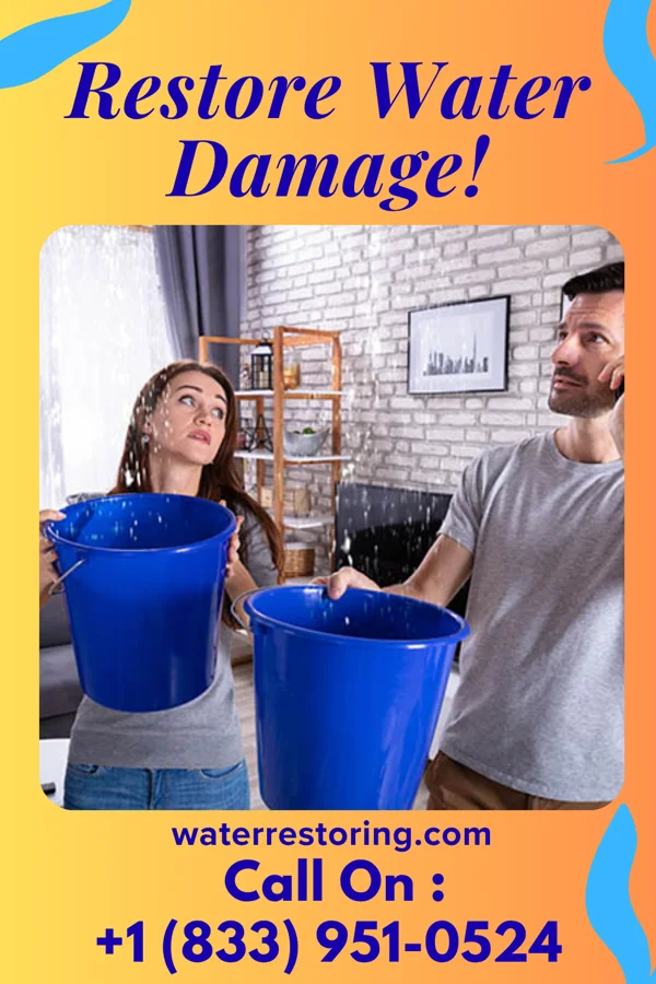 water restoration Rapid Storm Recovery Specialists Biltmore