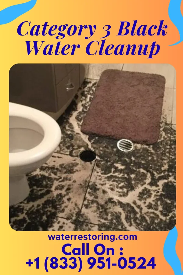 Category 3 Black Water Cleanup in Biltmore, TN