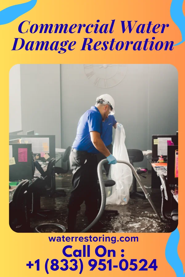 Commercial Water Damage Restoration in Biltmore, TN
