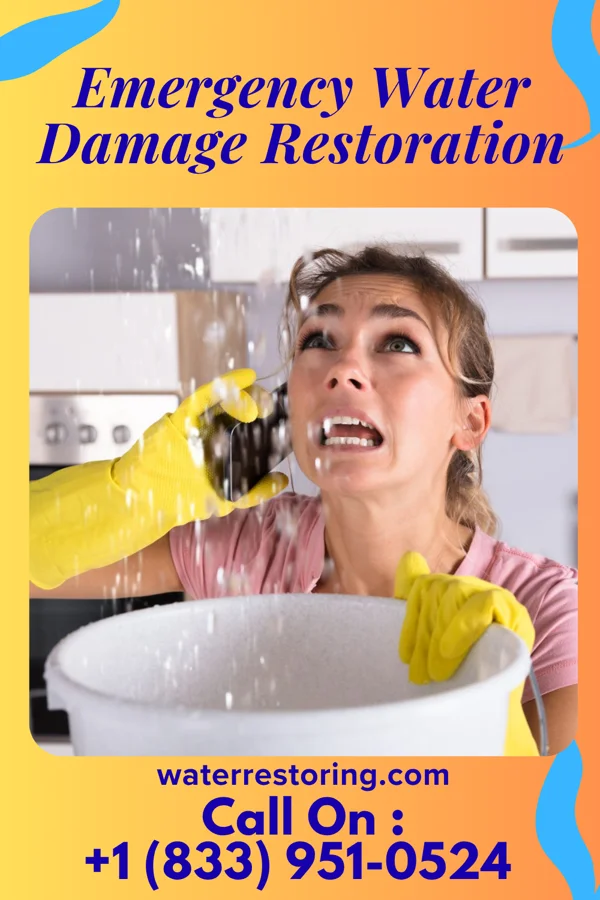 Emergency Water Damage Restoration in Biltmore, TN