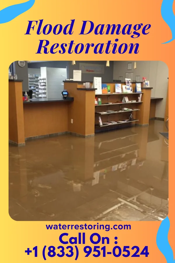 Flood Damage Restoration in Biltmore, TN