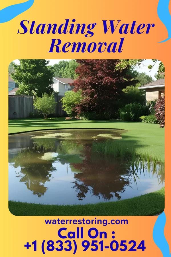 Standing Water Removal in Biltmore, TN